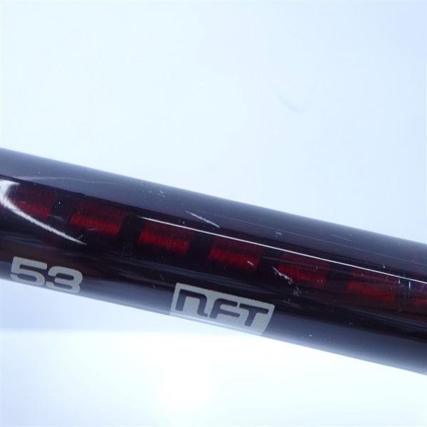 魁ハエ５３